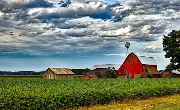 houses, cloudy, sky, windmill, agriculture