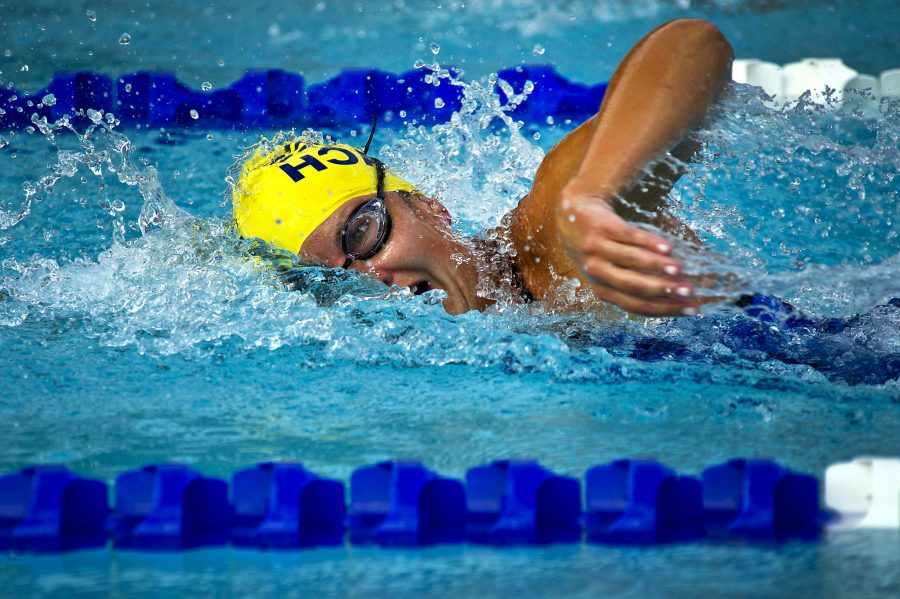 înotător de sport, piscină de curse