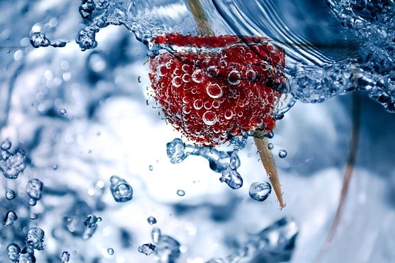 raspberry, water