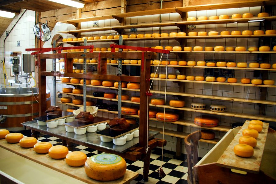 cheese factory, cheese, products