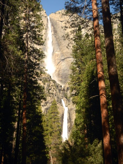trees, waterfall, forest, mountain