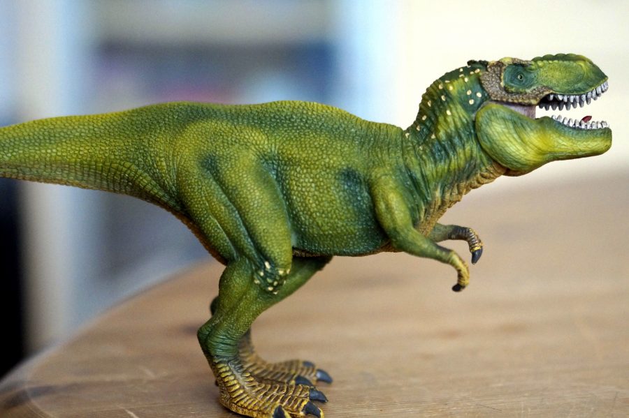 leksak, dinosaurie modell