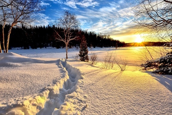 inverno, mattina, alba, paesaggio