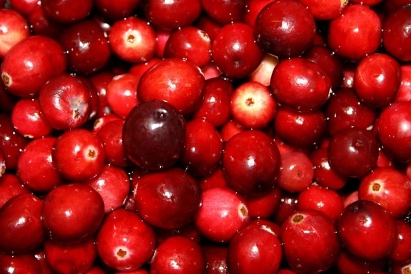 cranberries, fruit