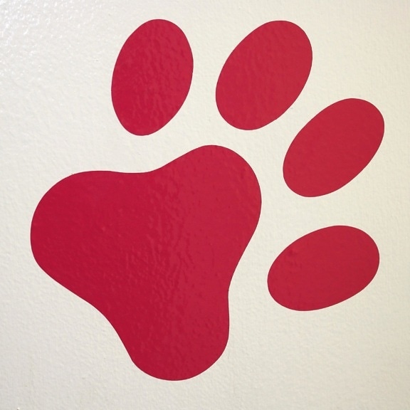 red, paw print, wall, design