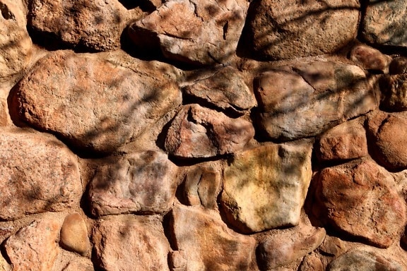 rock, wall, tree, branch, shadows, texture