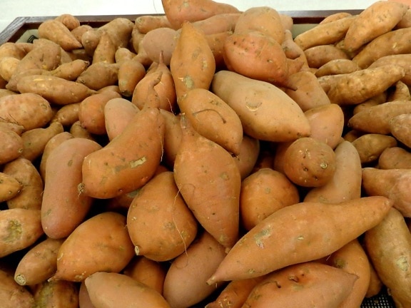 yams, sweet potatoes