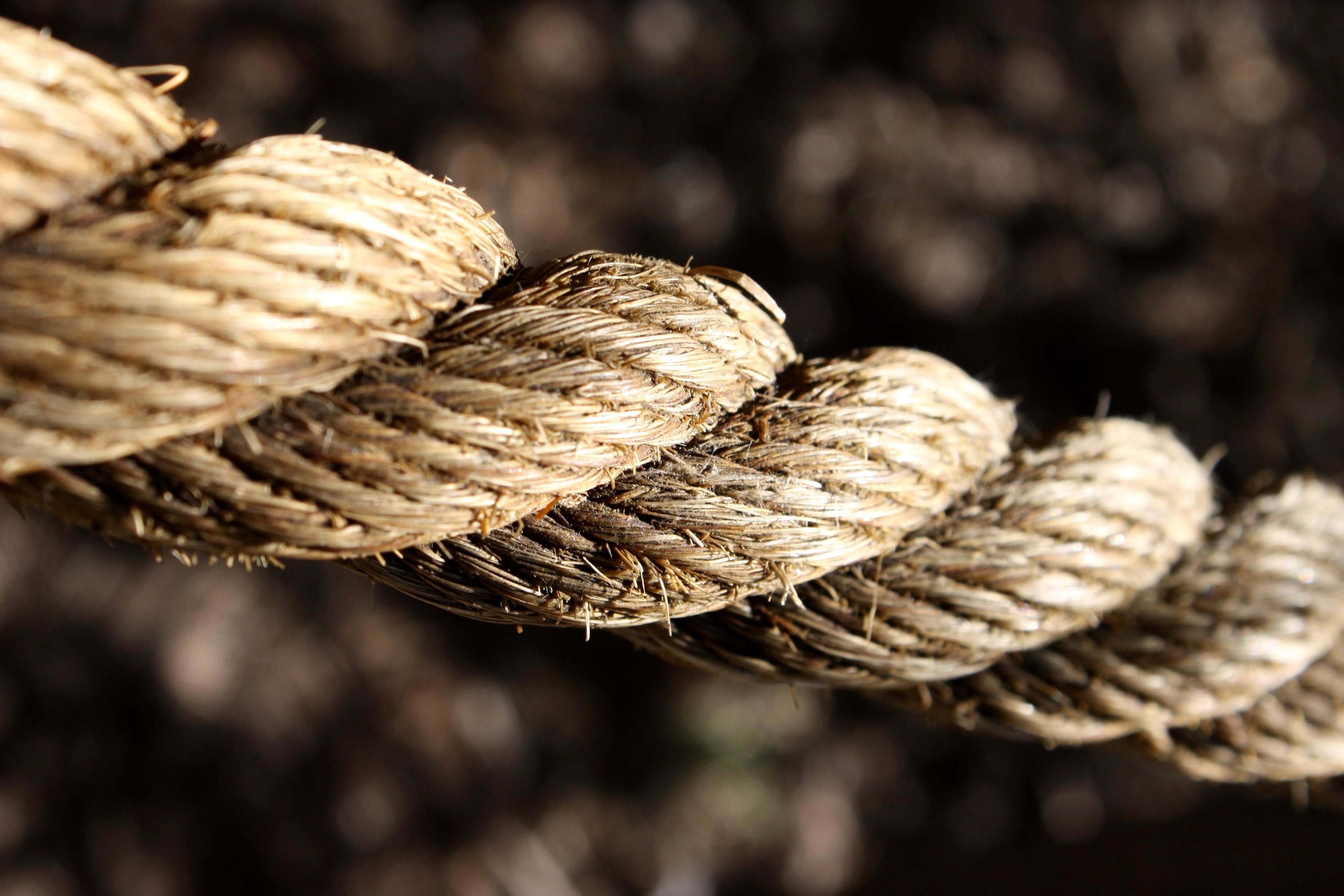 Free picture: twisted rope