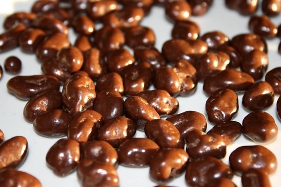 chocolate, raisins