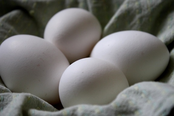 trứng màu trắng
