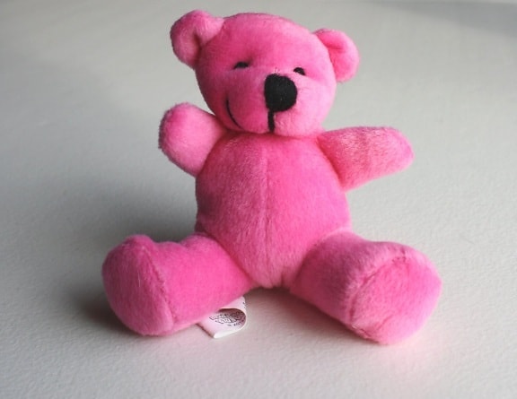 chú gấu bông màu hồng, đồ chơi