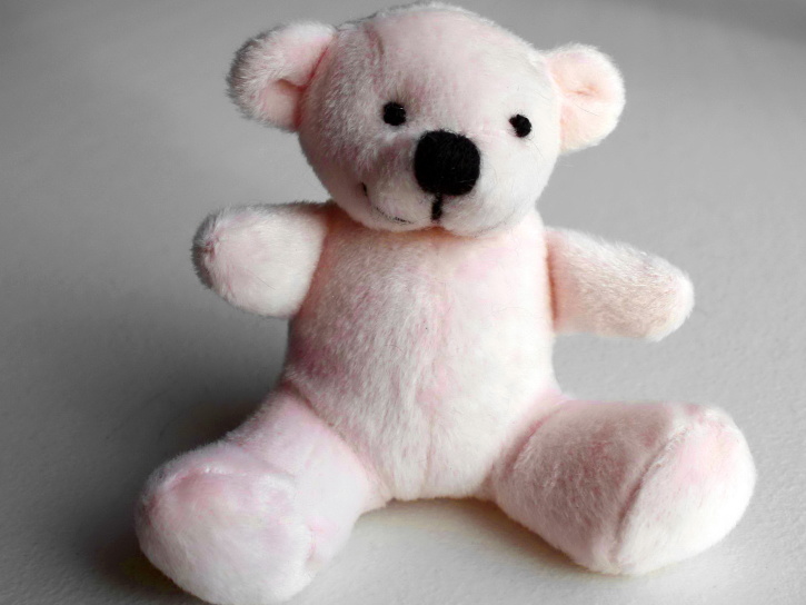 white teddy bear, toy