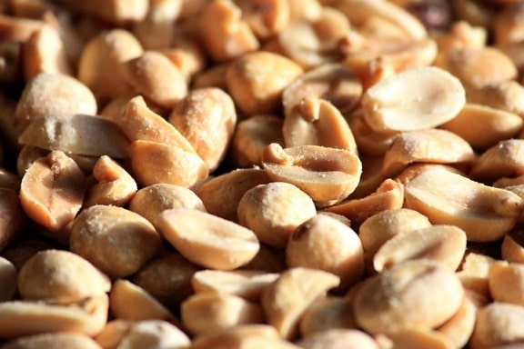 roasted peanuts, seeds
