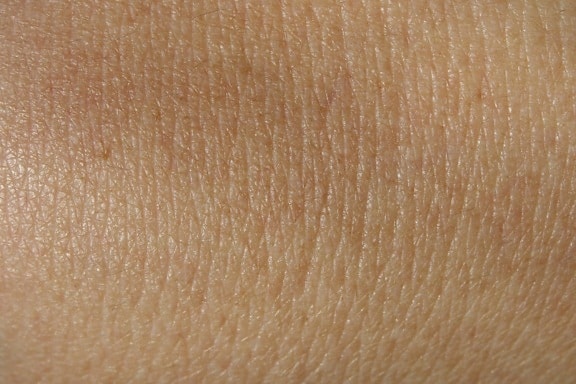 mänsklig hud