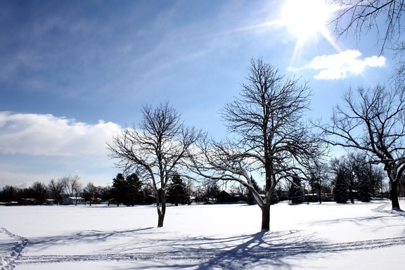 Aurinkoinen päivä, Sunshine, talvi, lumi