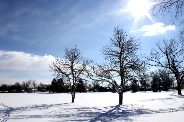 Cerah, sinar matahari, musim dingin, salju
