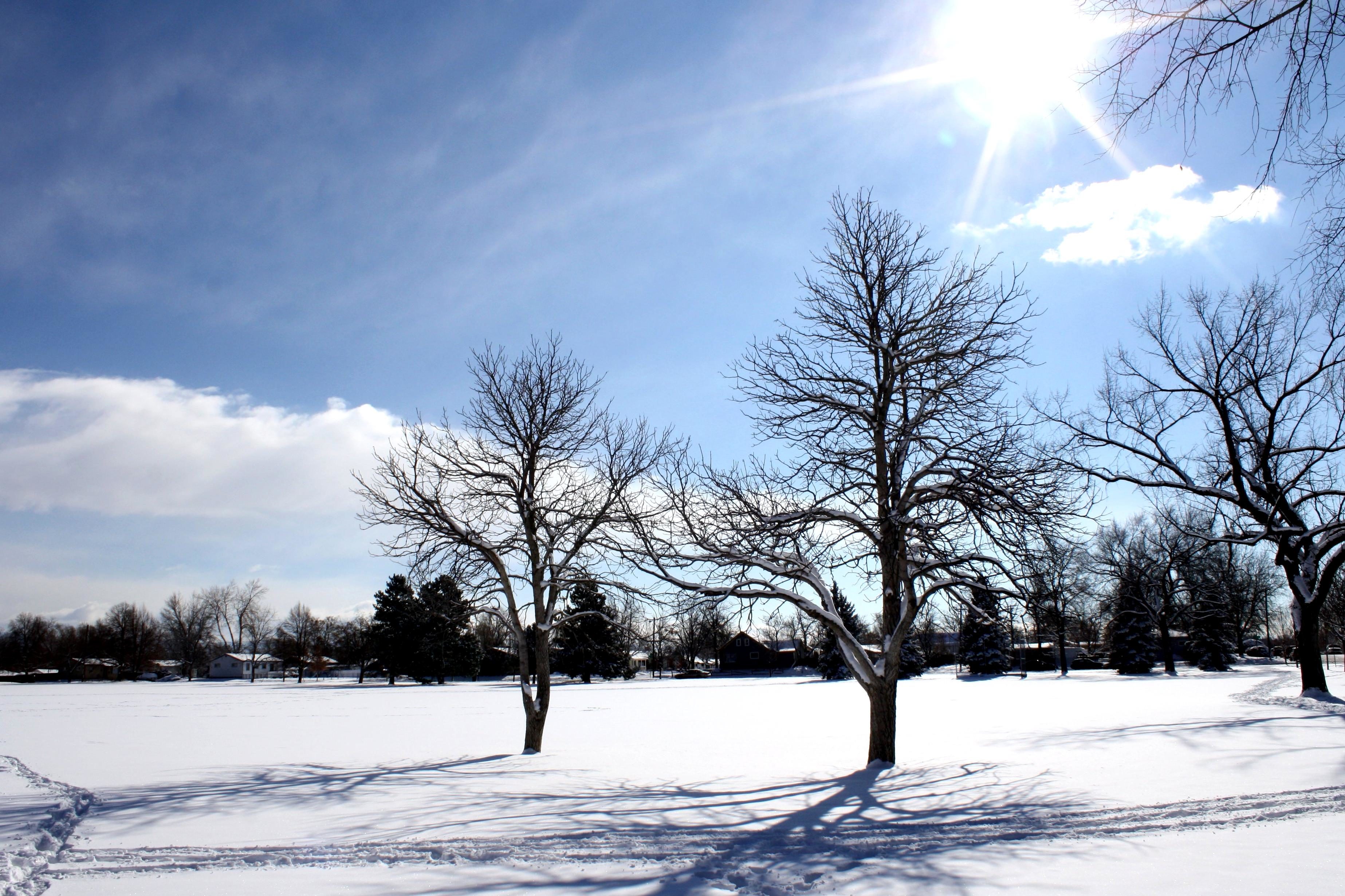 Kostenlose Bild: Sonniger Tag, Sonnenschein, Winter, Schnee