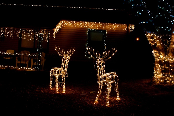 casa, noche, noche de Navidad, carámbano, renos, luces