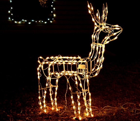 renos, decoración de Navidad, ornamento, luces, noche