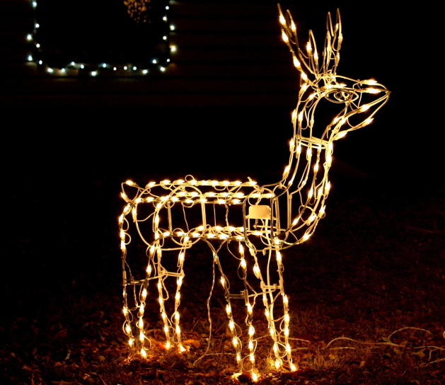 驯鹿, 圣诞装饰, 装饰品, 灯光, 夜晚