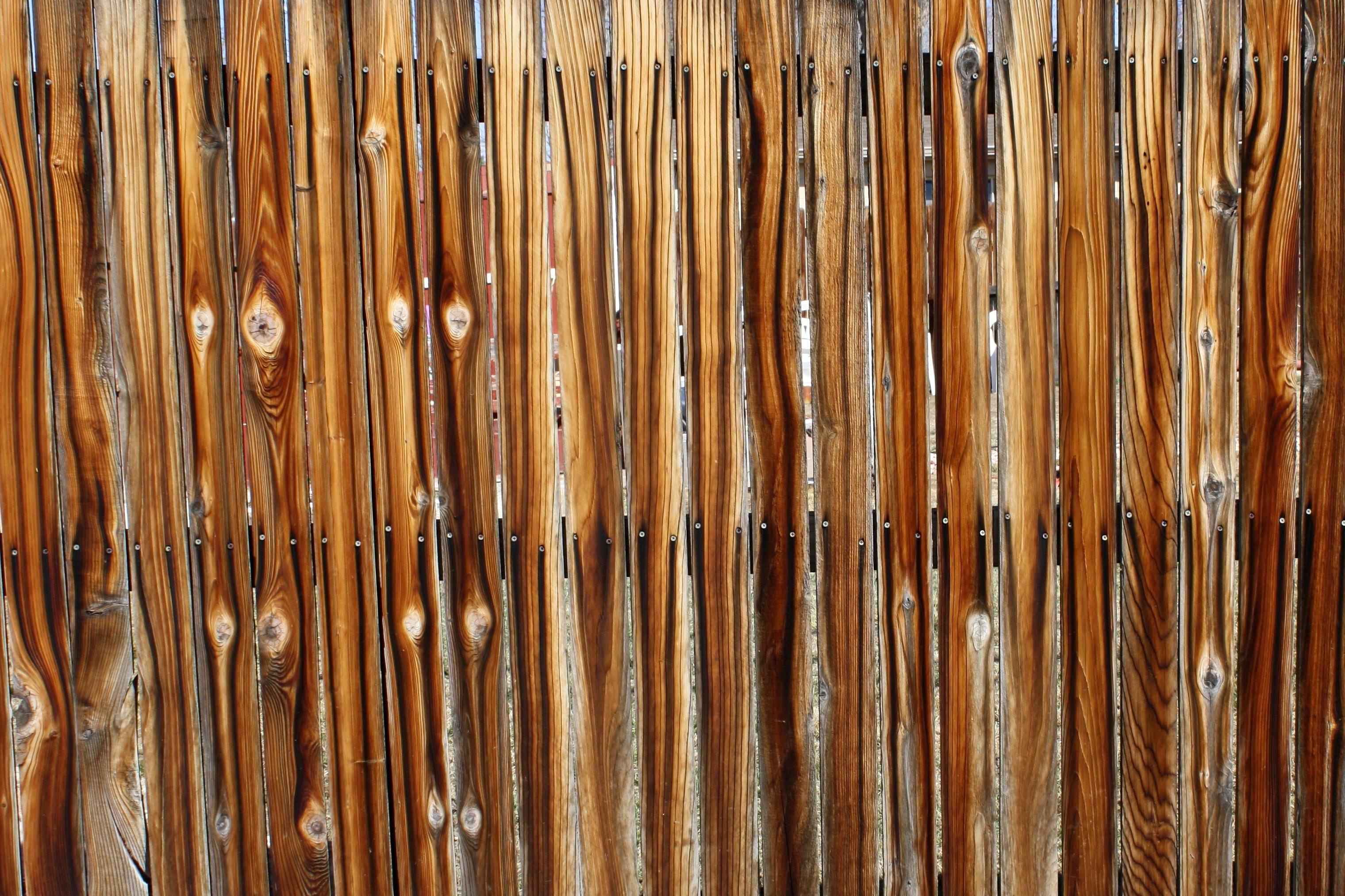 деревянный забор раст фото 39