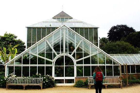 botany garden, architecture, greenhouse