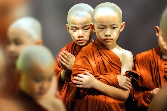 bald, buddhism, children, religion, monk