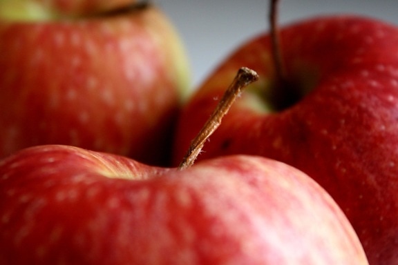 manzanas rojas, frutas, fotografía macro