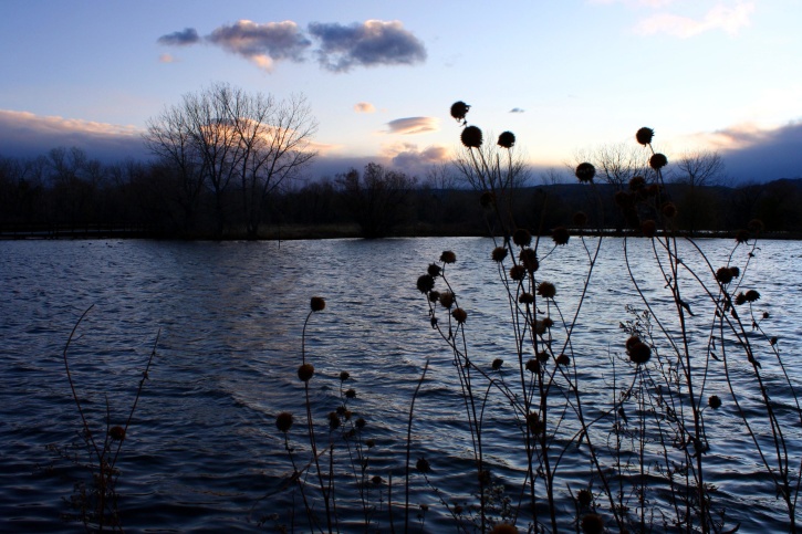 lac, crépuscule, novembre