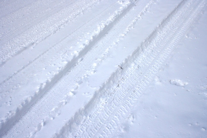 cobertura de neve, estrada, inverno