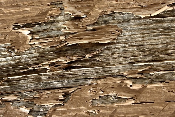peeling color, brown painted plank, texture