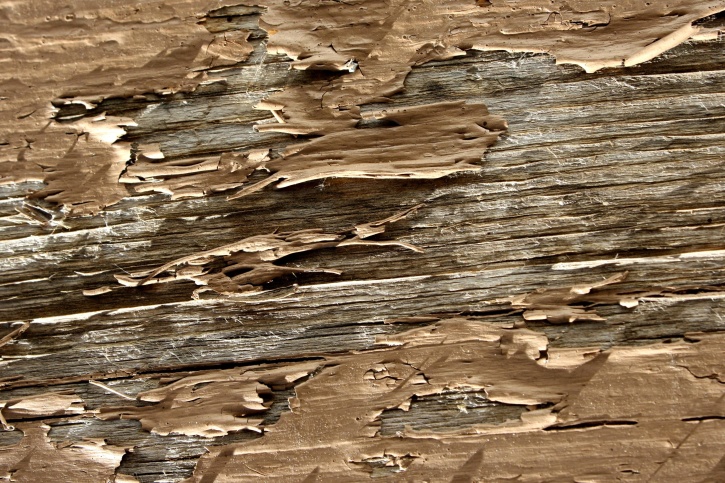 peeling farve, brun hvidmalet planke, tekstur