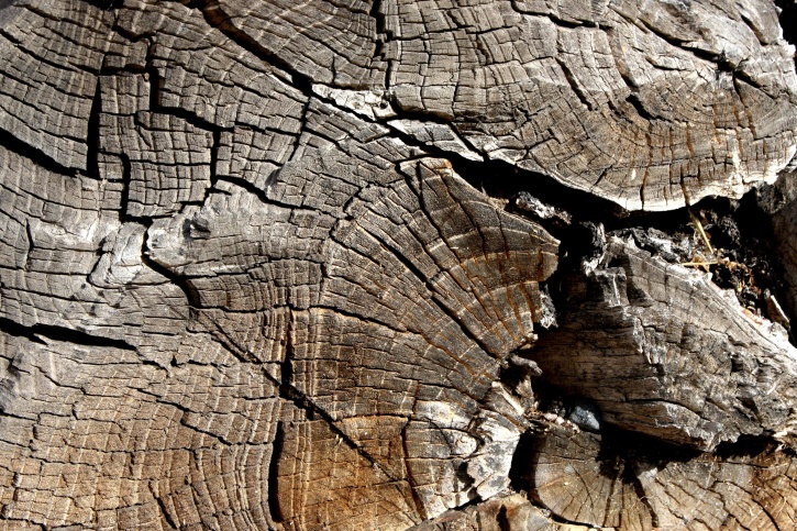 scanduri de lemn, lemn de noduri, aproape, textura
