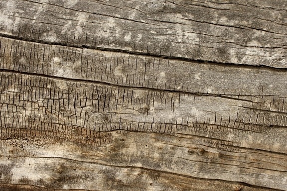 오래 된 나무 판자, 질감, 나무 매듭