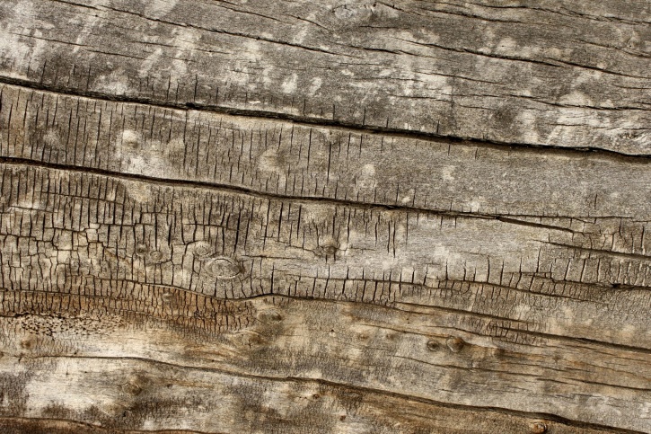 古い木板、テクスチャ、木製の結び目