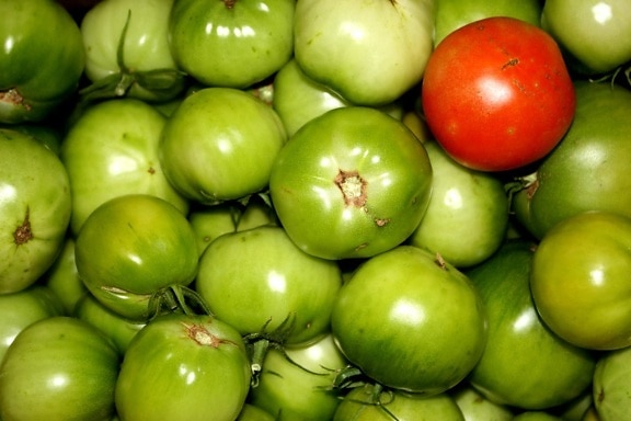 ripe tomato, green tomatoes, vegetable