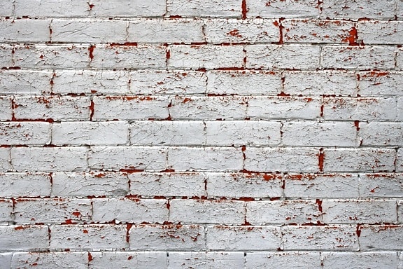 λευκό, βαμμένο τοίχο, τούβλο, τοίχο