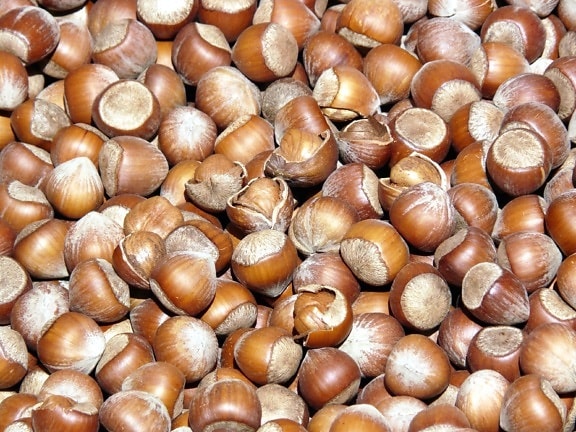 alune, seminţe, kernel-ului