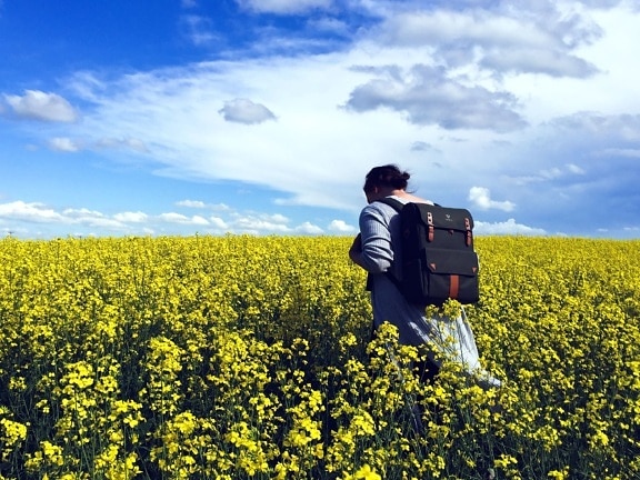 flower, field, summer, woman,  agriculture, backpack