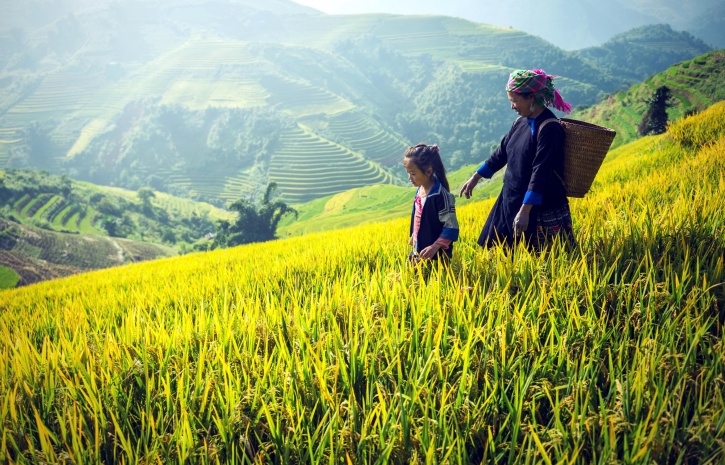 agriculture, Asia, Cambodia, country, mountain, mother, child