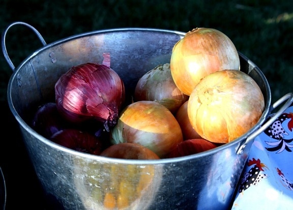 metal bucket, onions, vegetable