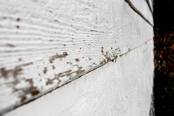 white colored plank, texture, white paint