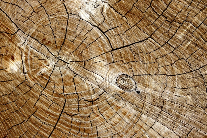 Изрежи, дървена дъска, пръстен текстура, дървени възел