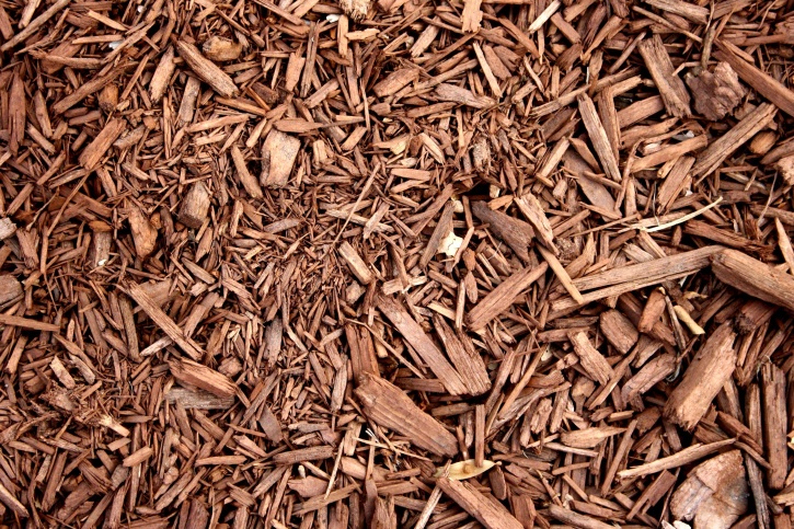 Brown, tre, sponplater, mulch, tekstur