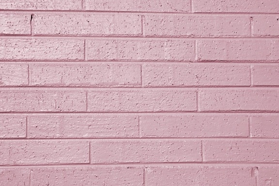лилав цвят, боядисани тухлена стена, текстура