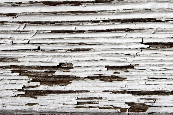 old paint, texture, wooden plank, wooden board