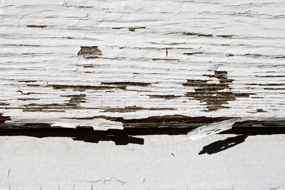 white paint, wooden planks, paint, texture