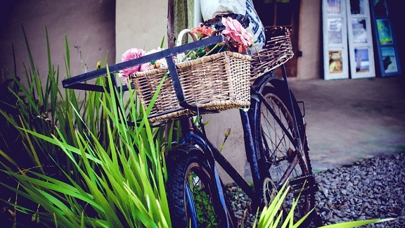 fiets, wiel, bloemen, gras,