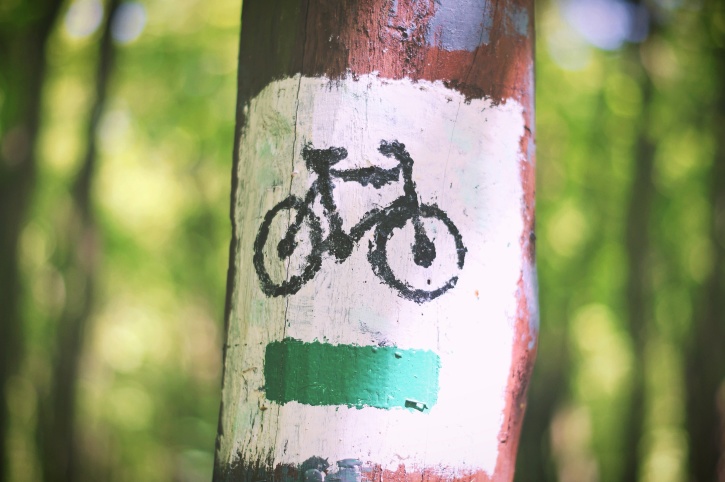 ruta de la bicicleta, señal, árbol pintado, tronco de árbol