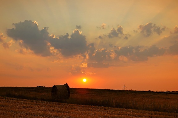 sunset, nature, landscape, sky, day, field, hay, bale, crops, agriculture, dusk